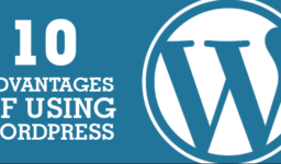 Advantages Of Using WordPress